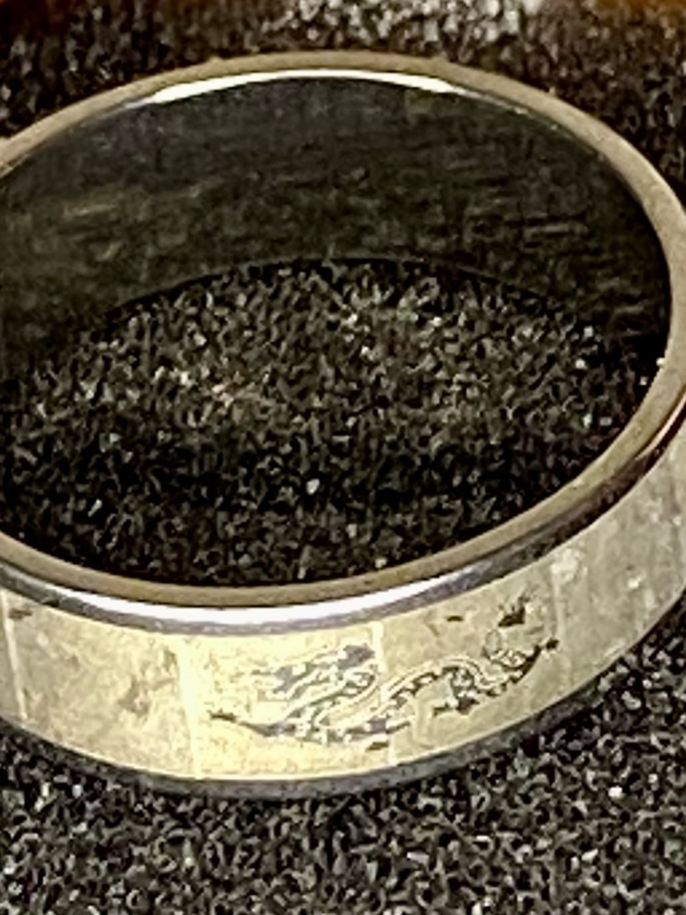 Silver Dragon Pattern Metal Ring for Reptile Habitat Accessories